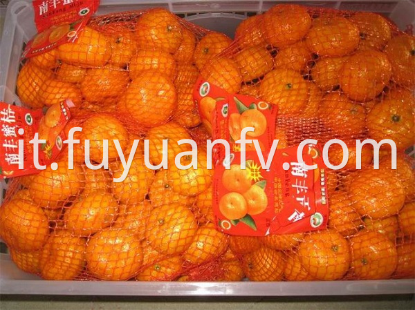 fresh baby mandarin